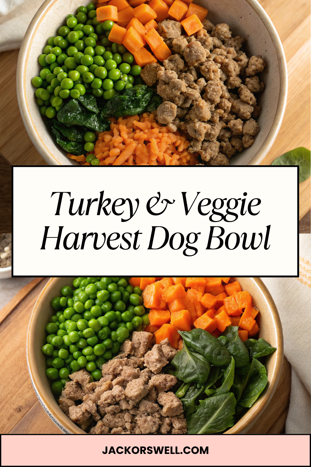 Turkey & Veggie Harvest Dog Bowl