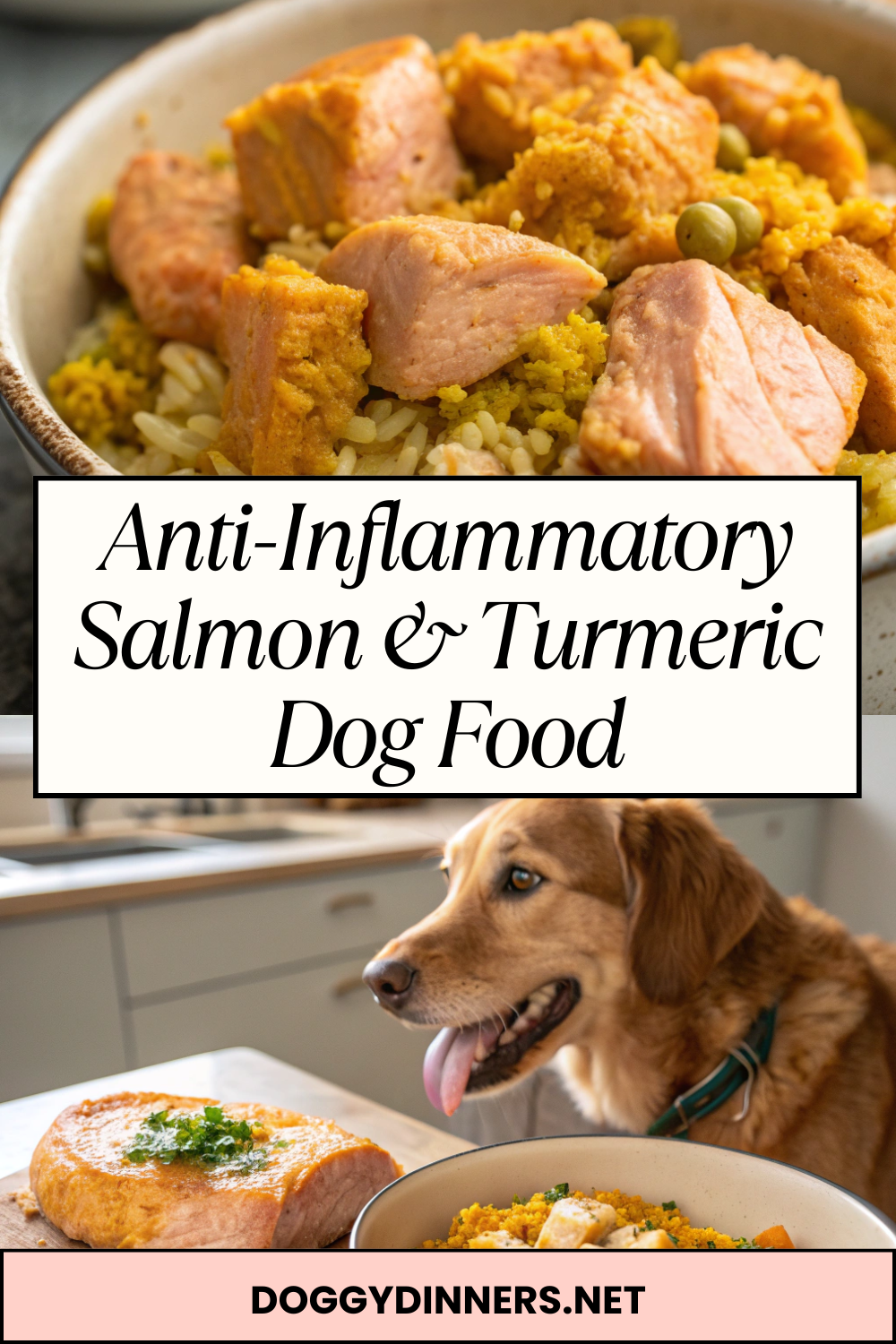 Anti-Inflammatory Salmon & Turmeric Dog FoodGently cooked, soft-textured dog food–style recipe with salmon and a small amount of turmeric for occasional feeding