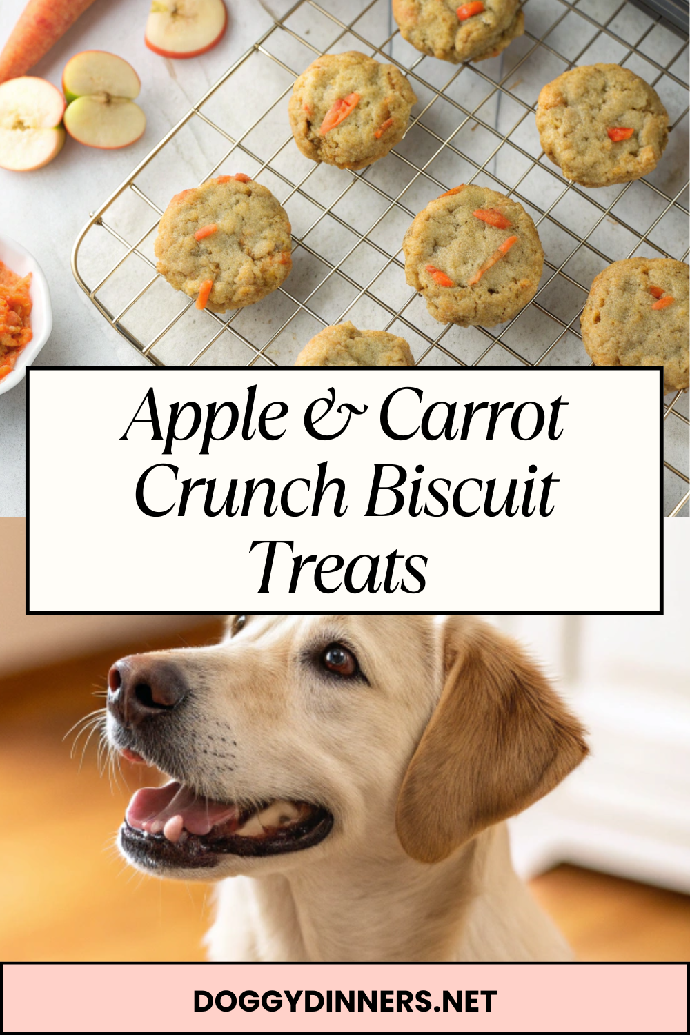 Apple & Carrot Crunch Biscuit Treats – Naturally Sweet, Fiber-Rich Crunch for Happy, Healthy Dogs