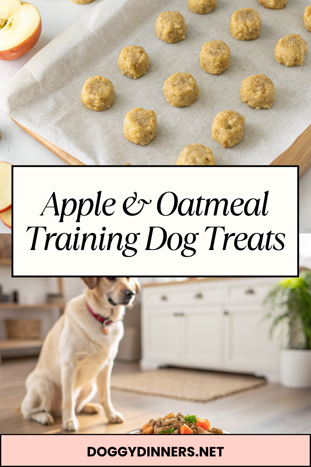 Apple & Oatmeal Training Dog Treats – Soft, Bite-Sized Rewards for Focused, Happy Learning
