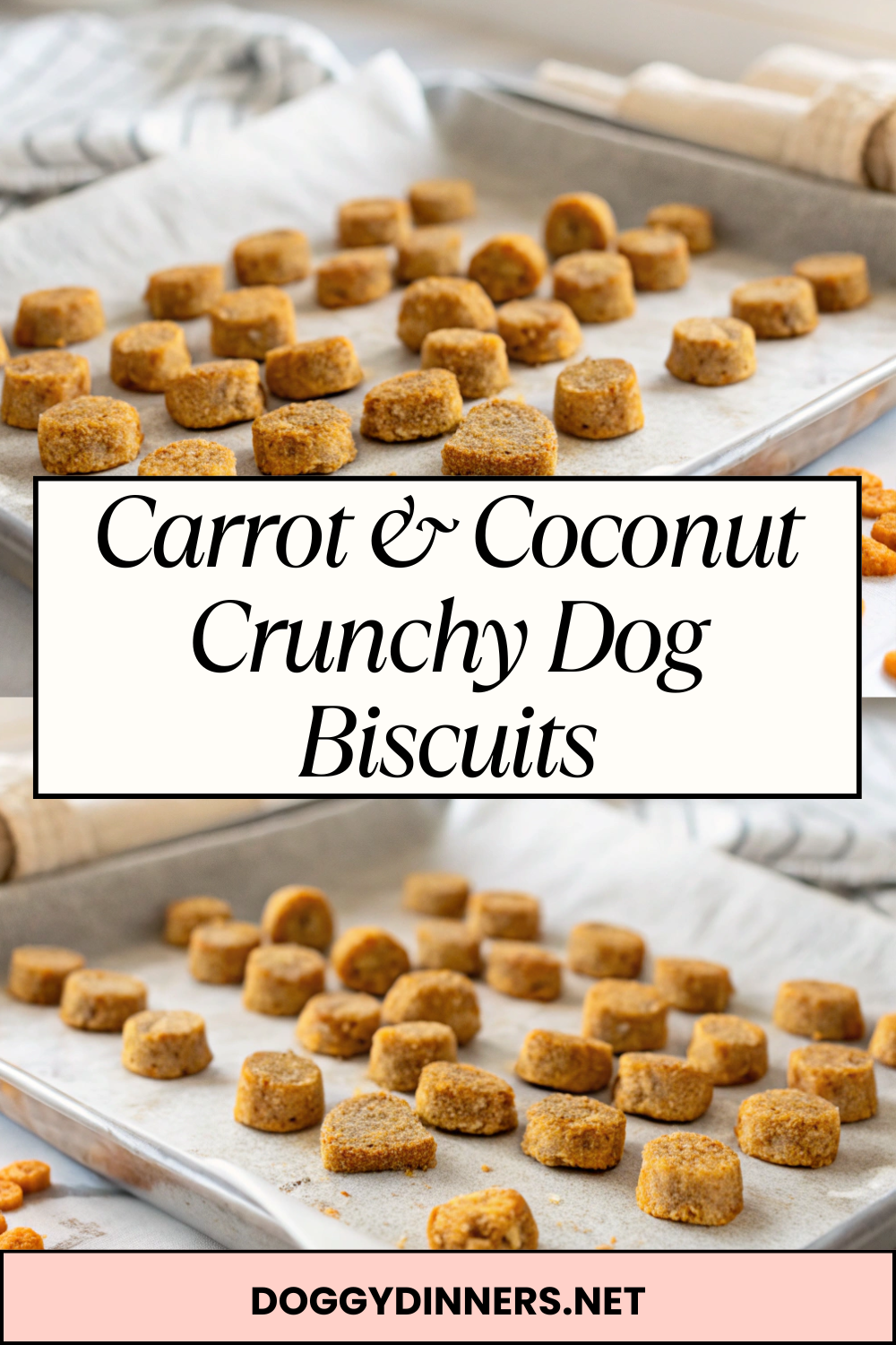 Carrot & Coconut Crunchy Dog Biscuits – Fiber-Rich, Golden & Perfectly Crisp for Happy Chewers