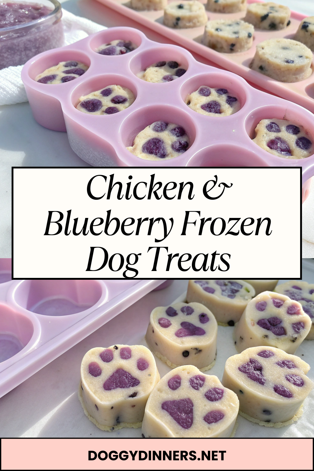 Chicken & Blueberry Frozen Dog Treats – Protein-Powered, Antioxidant-Rich & Perfect for Cooling Down