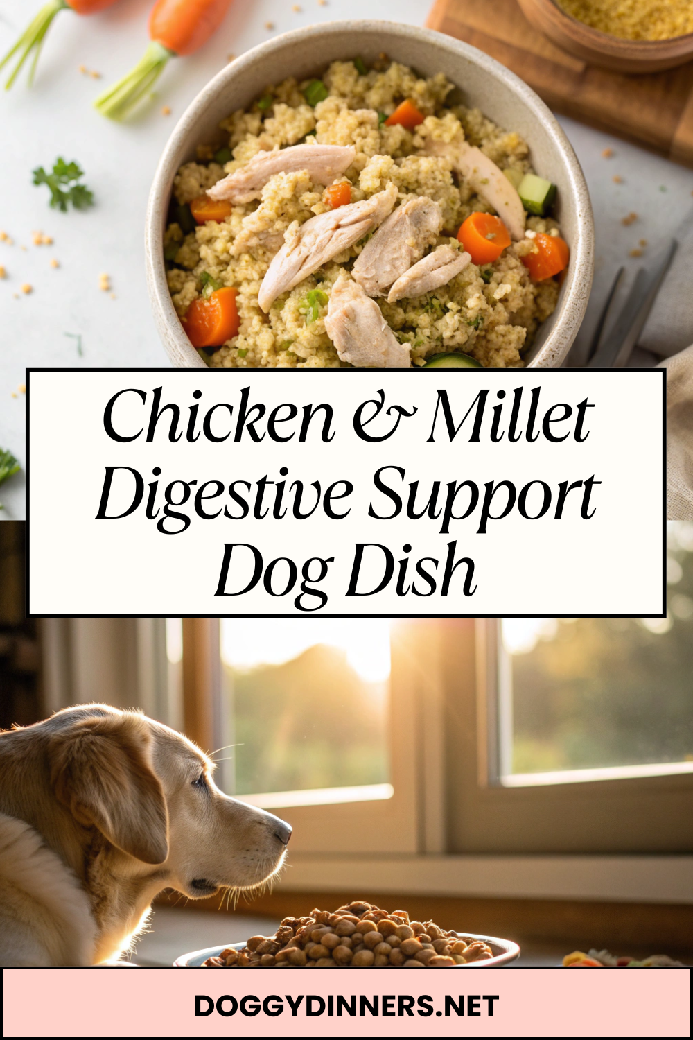 Chicken & Millet Digestive Support Dog Dish – Gentle, Gut-Friendly Nutrition for Happy Bellies