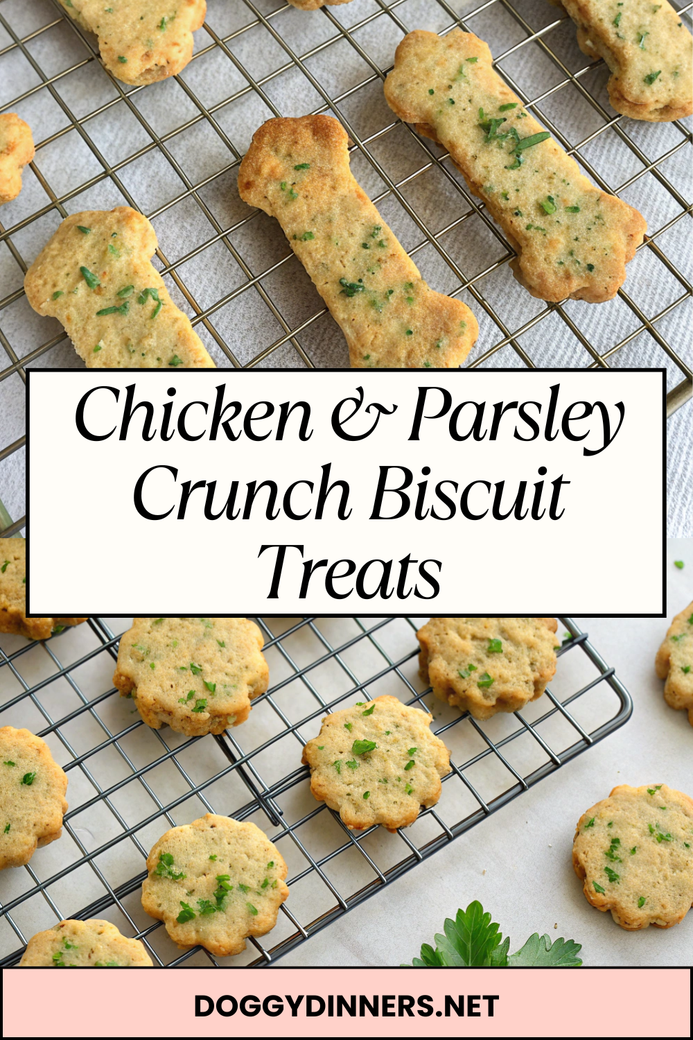 Chicken & Parsley Crunch Biscuit Treats – Savory, Crispy & Great for Fresh Breath
