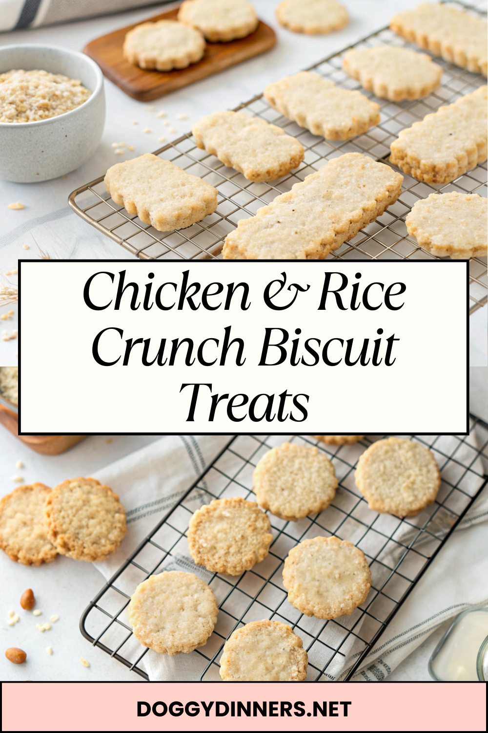 Chicken & Rice Crunch Biscuit Treats – Savory, Crispy & Perfect for Everyday Rewarding