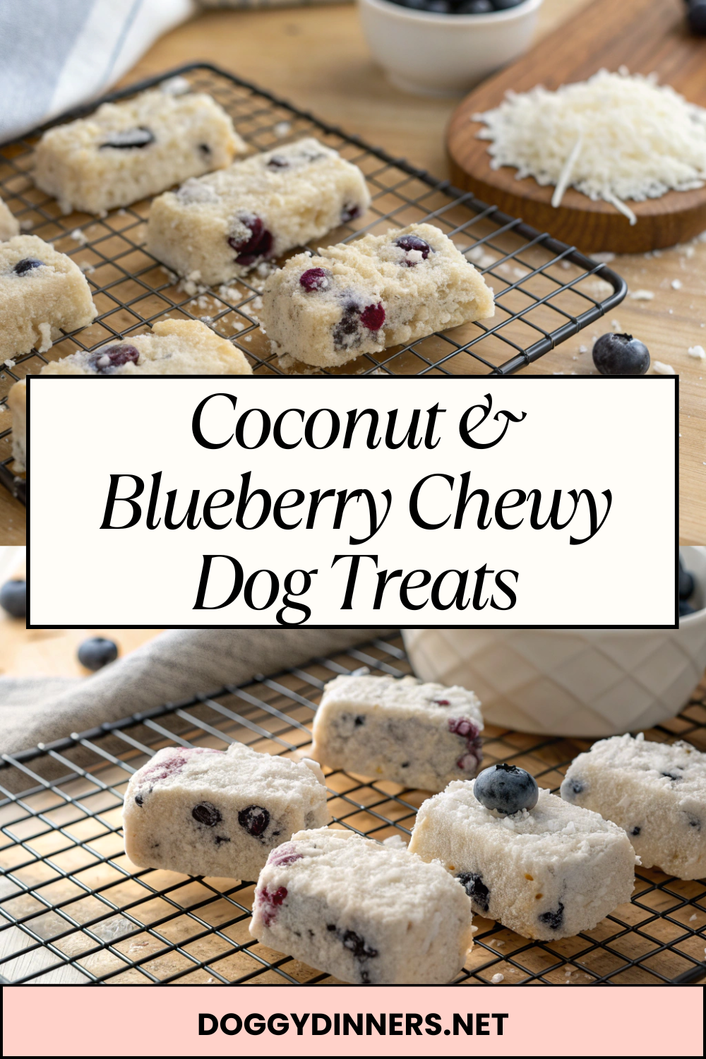 Coconut & Blueberry Chewy Dog Treats – Soft, Antioxidant-Rich Bites with a Tropical Twist