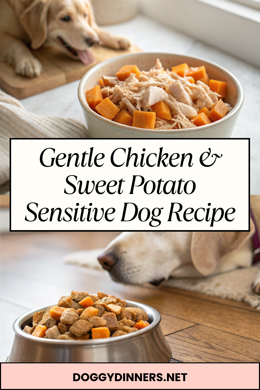 Gentle Chicken & Sweet Potato Sensitive Dog Recipe – Comforting, Easy-to-Digest Nutrition for Delicate Tummies