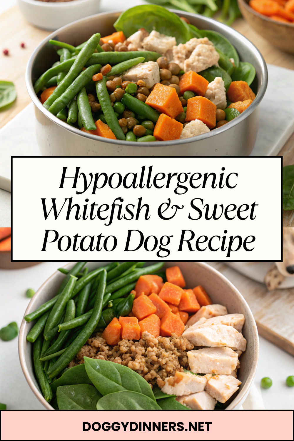 Hypoallergenic Whitefish & Sweet Potato Dog Recipe – Gentle, Balanced & Ideal for Sensitive Skin & Stomachs
