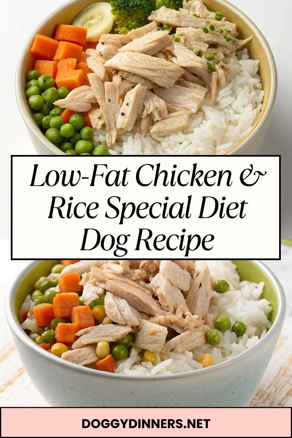 Low-Fat Chicken & Rice Special Diet Dog Recipe – Gentle, Soothing & Vet-Friendly
