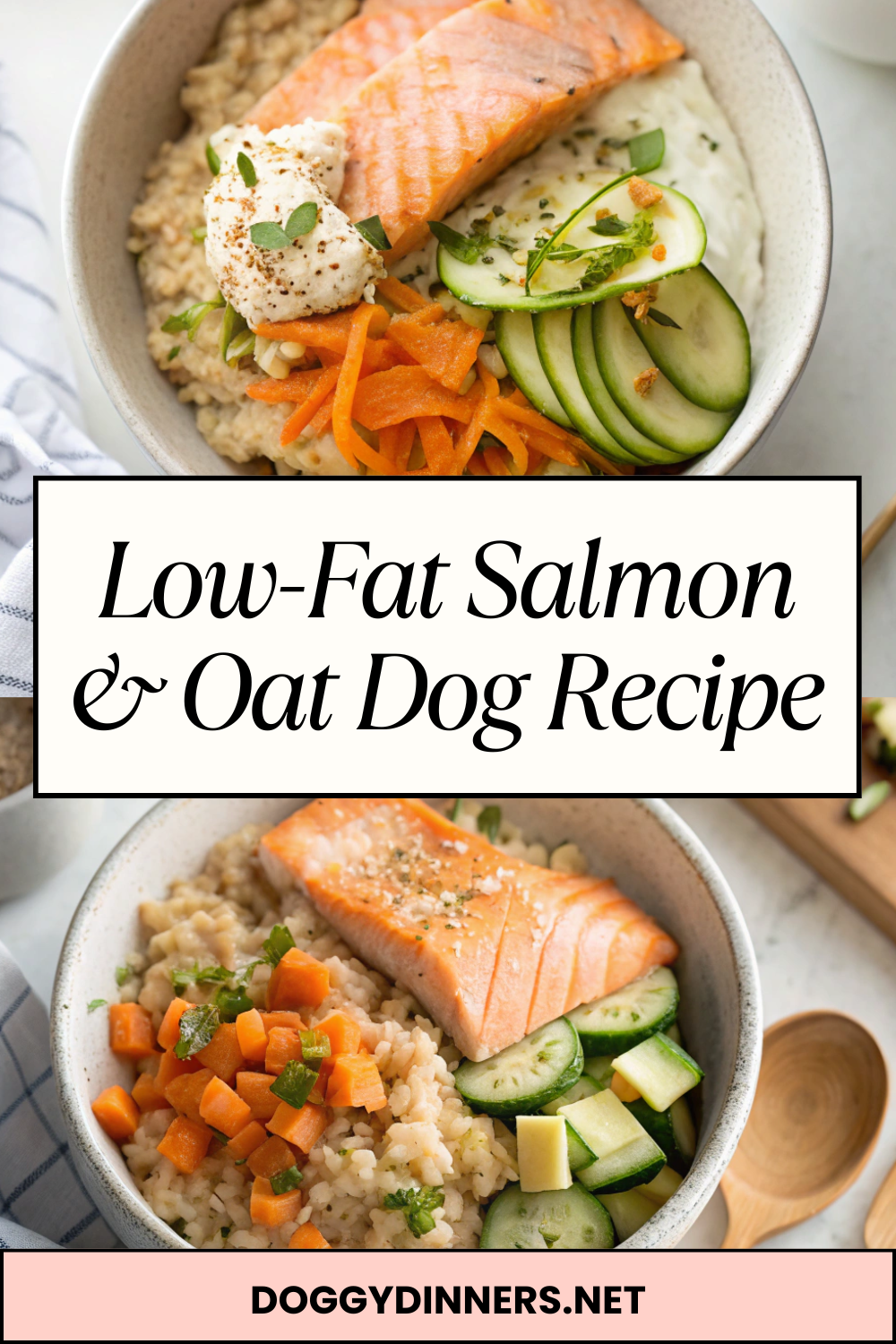 Low-Fat Salmon & Oat Dog Recipe – Lean Omega Nutrition for Heart, Skin & Digestive Health