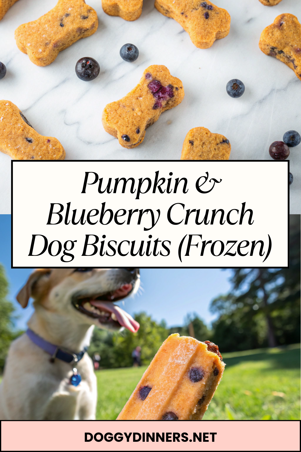 Pumpkin & Blueberry Crunch Dog Biscuits (Frozen) – Cool, Antioxidant-Packed Crunch with Digestive Support