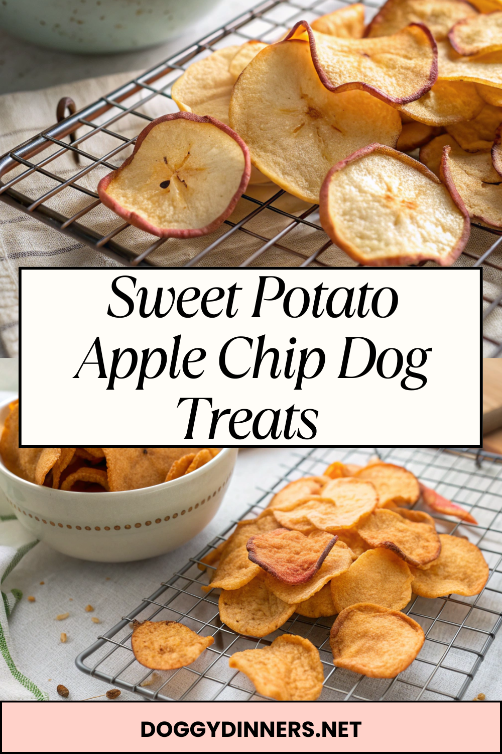 Sweet Potato Apple Chip Dog Treats – Naturally Sweet, Crispy & Perfectly Crunchy Snacks