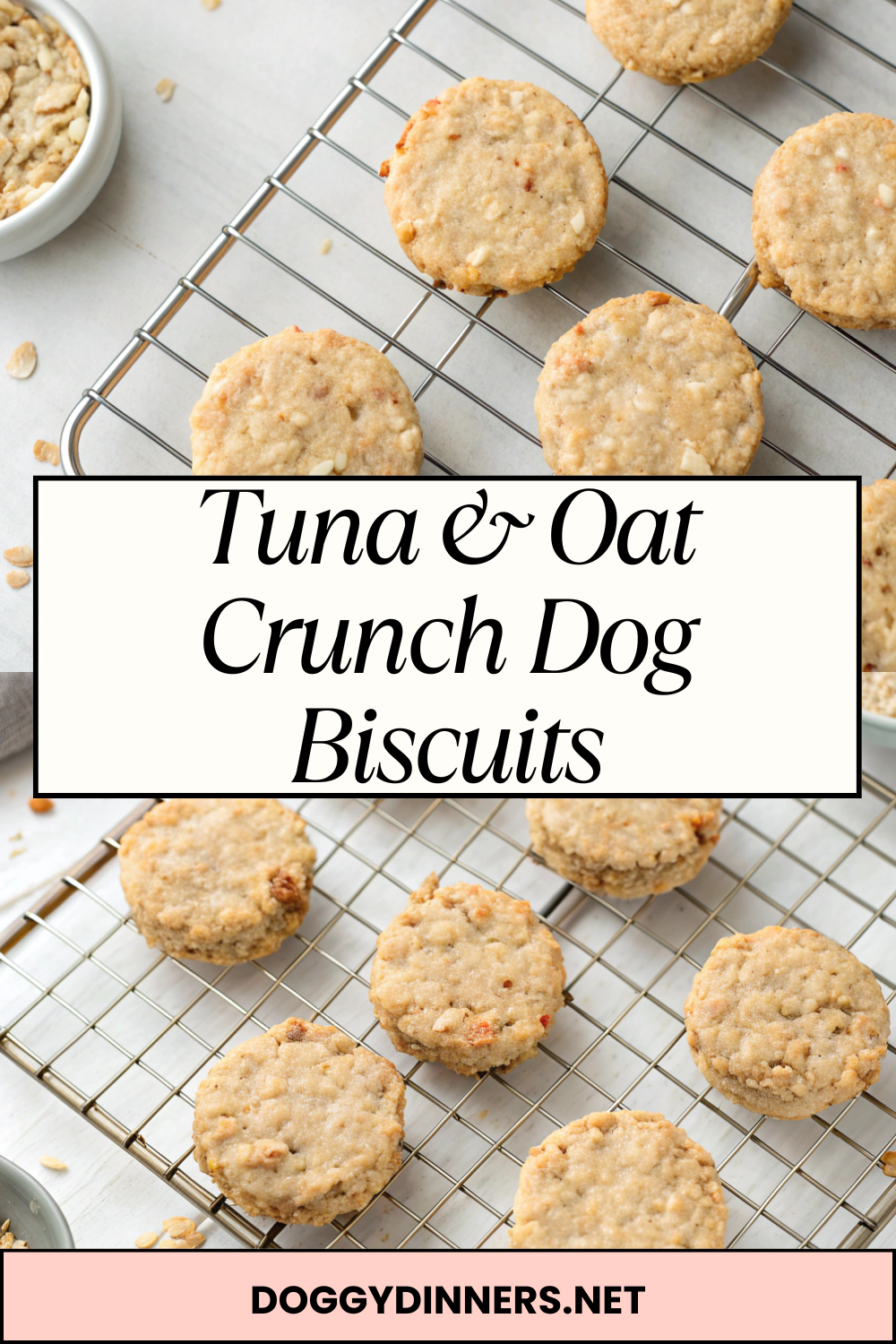 Tuna & Oat Crunch Dog Biscuits – Savory, Protein-Rich Crunch with Gentle Fiber