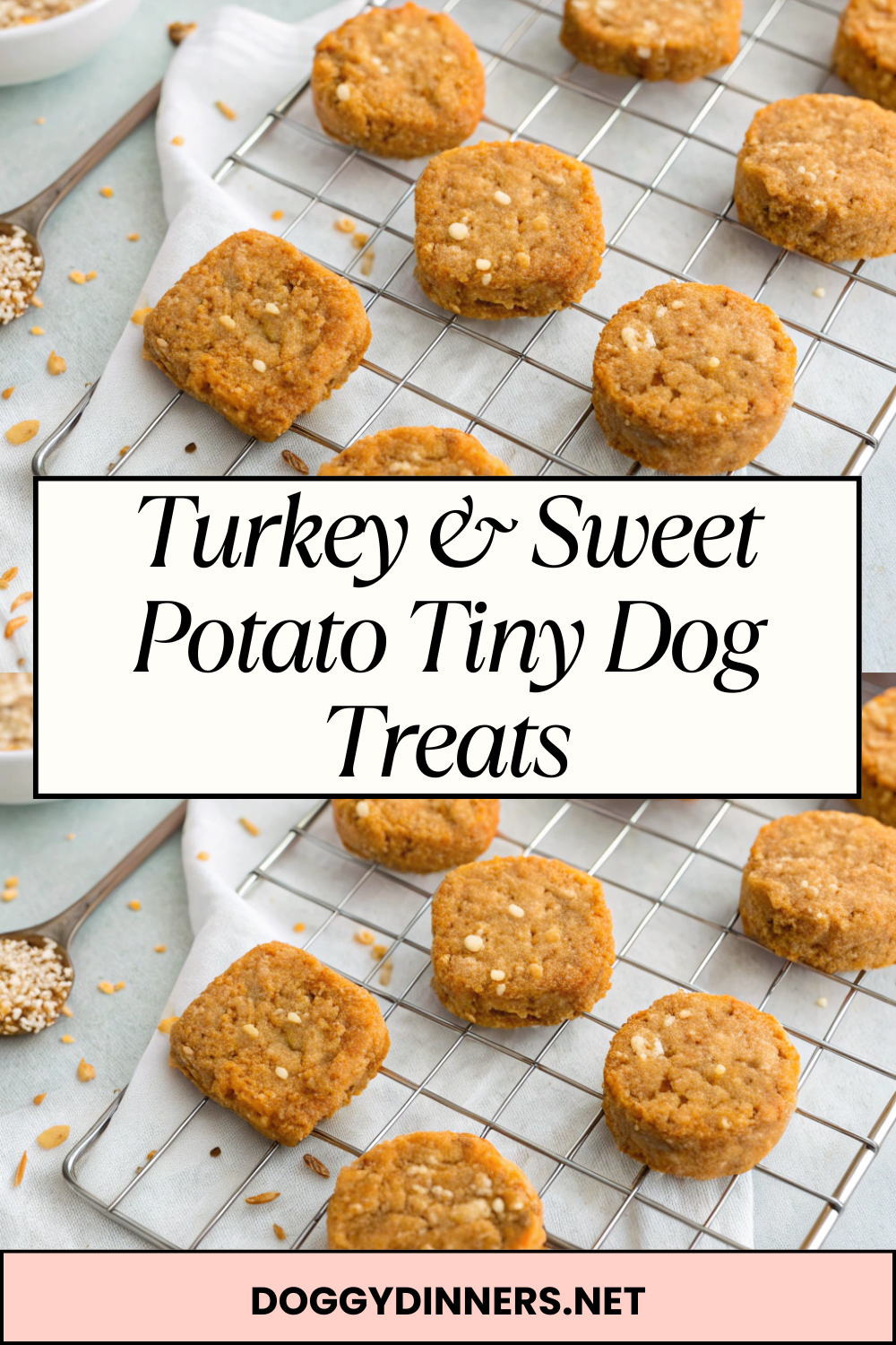 Turkey & Sweet Potato Tiny Dog Treats – Bite-Sized, Soft-Crunch Rewards Perfect for Training