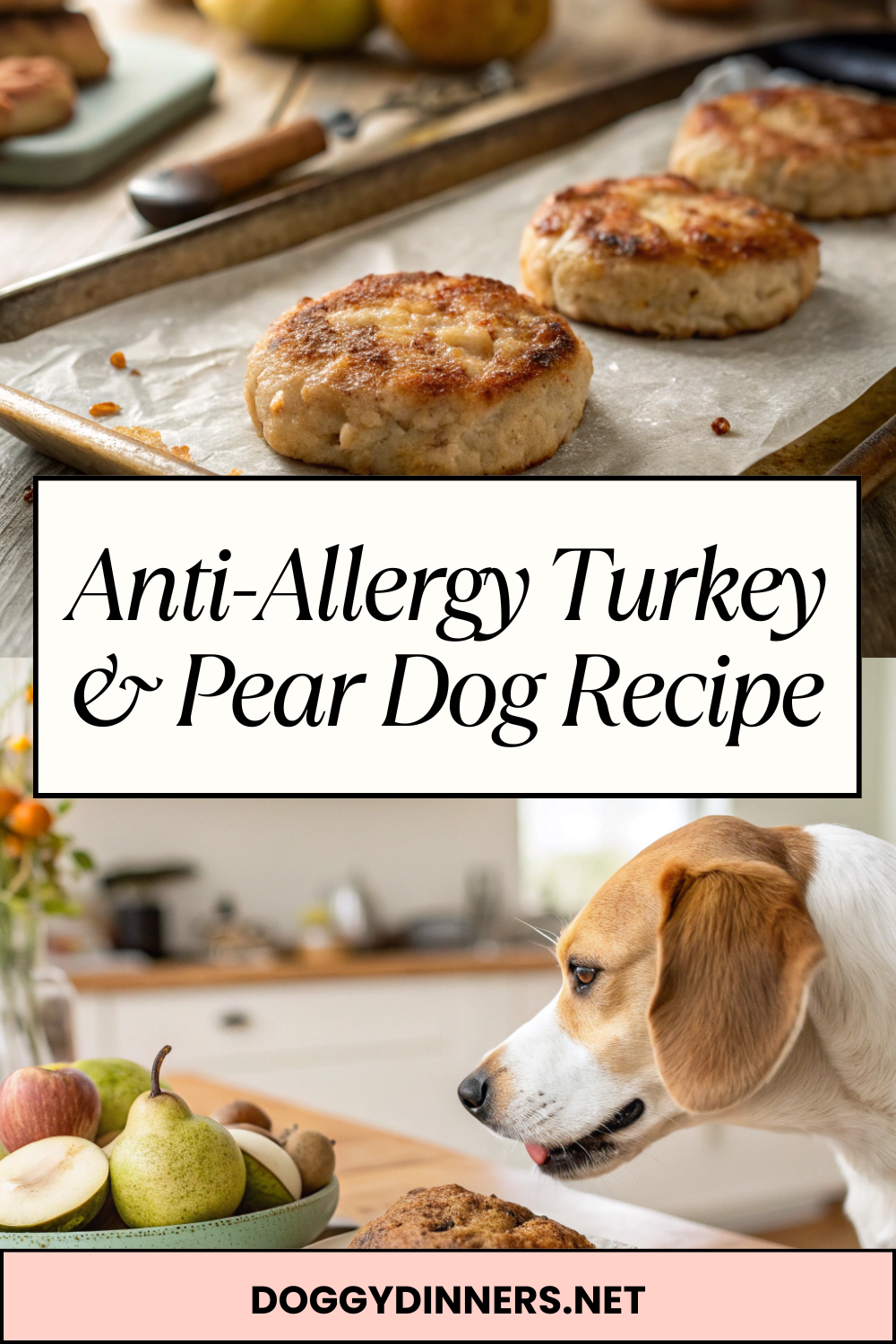 Anti-Allergy Turkey & Pear Dog Recipe