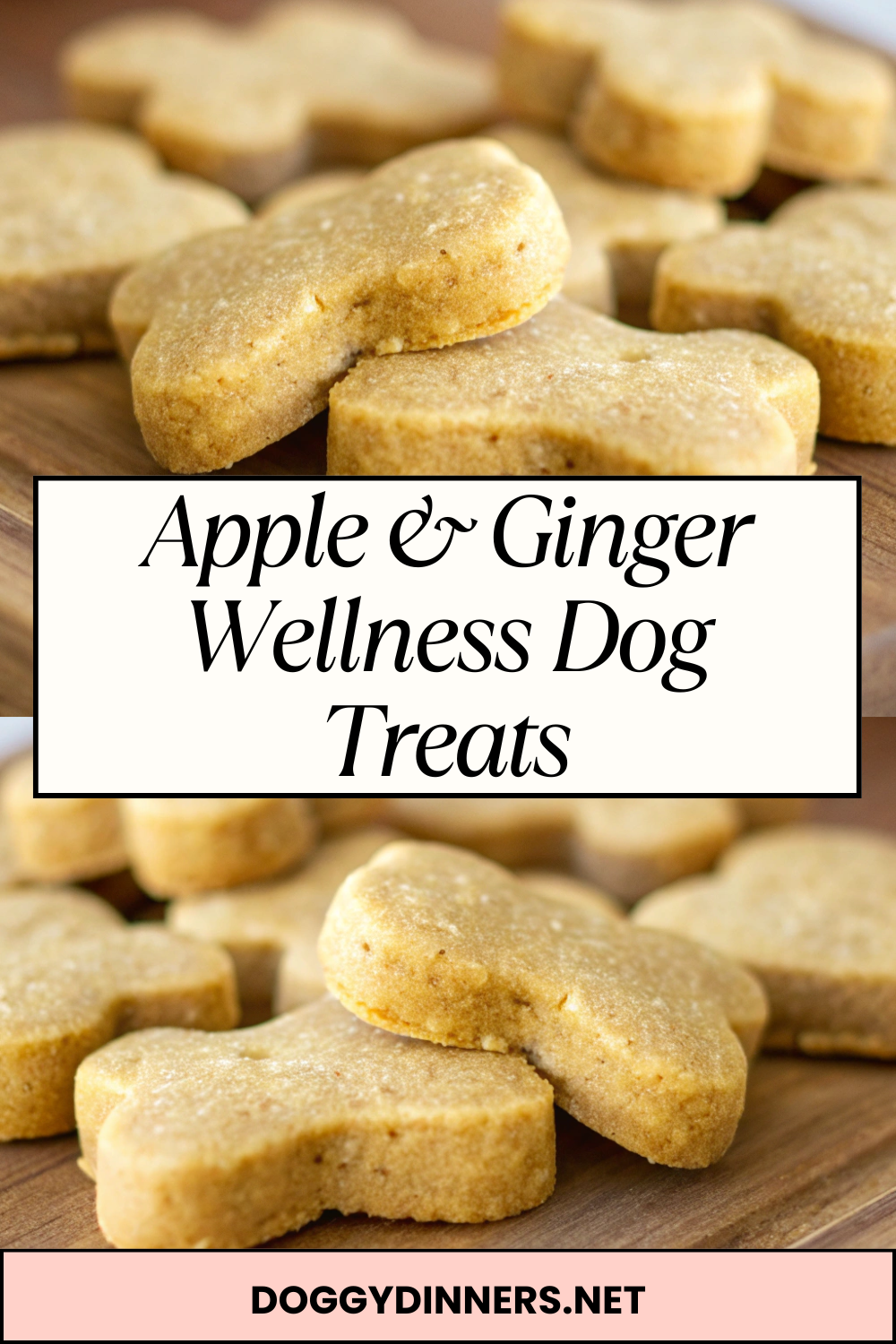 Apple & Ginger Wellness Dog Treats – Soft-Baked Fruit Biscuits with a Gentle Warming Flavor