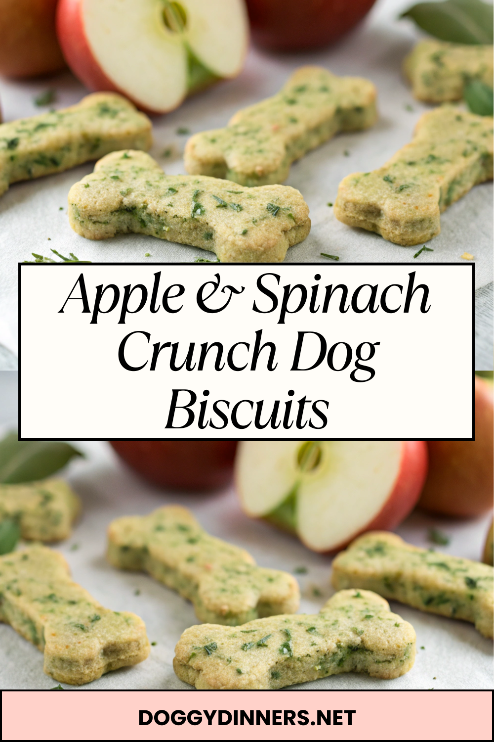 Apple & Spinach Crunch Dog Biscuits – Crispy Oven-Baked Veggie Treats with a Fresh Fruit Twist