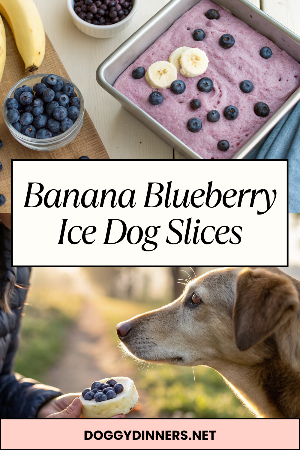 Banana Blueberry Ice Dog Slices