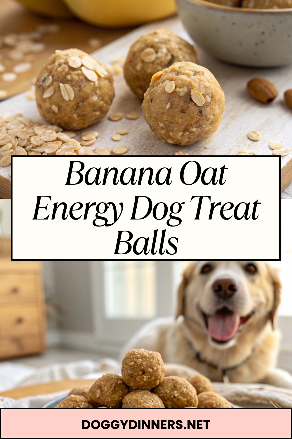 Banana Oat Energy Dog Treat Balls