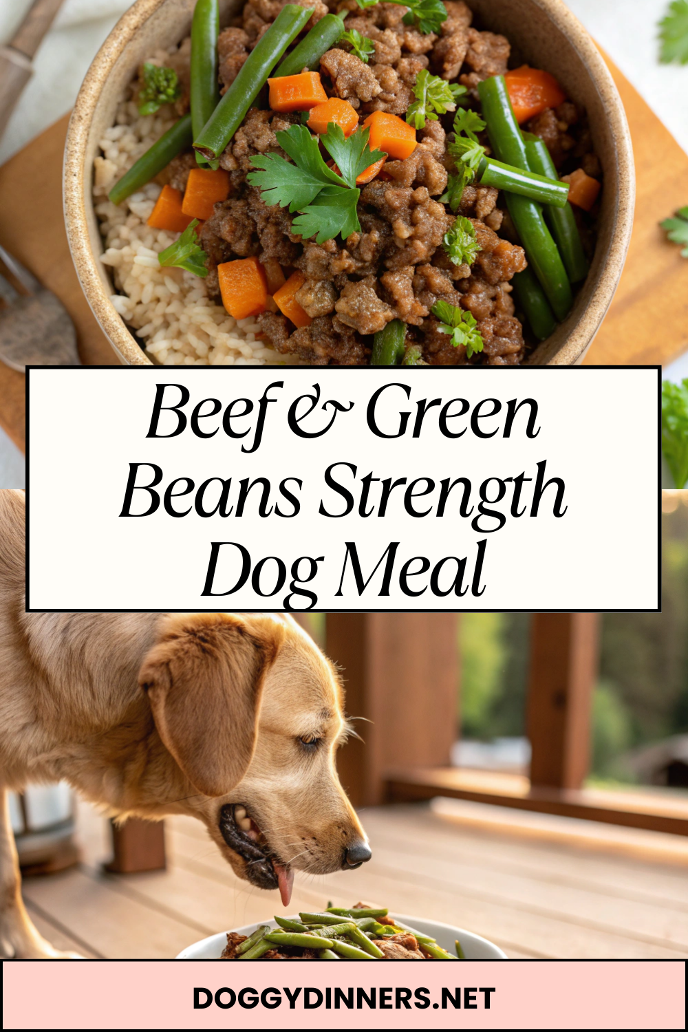 Beef & Green Beans Strength Dog Meal