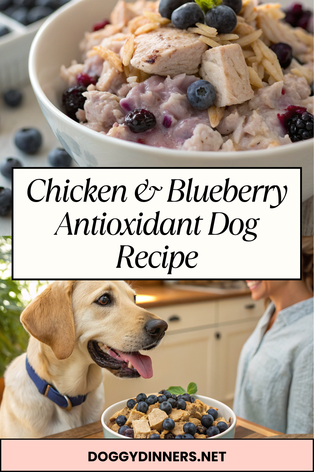 Chicken & Blueberry Antioxidant Dog Recipe