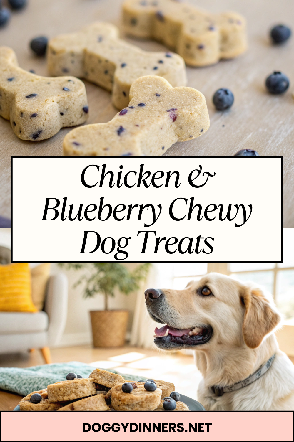Chicken & Blueberry Chewy Dog Treats – Soft-Baked, High-Value Chews for Training & Occasional Rewards