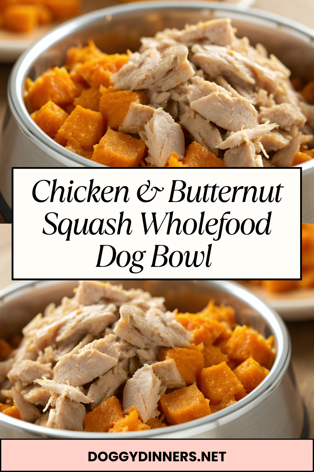 Chicken & Butternut Squash Wholefood Dog Bowl – Simple Homemade Meal with Real Ingredients for Occasional Feeding