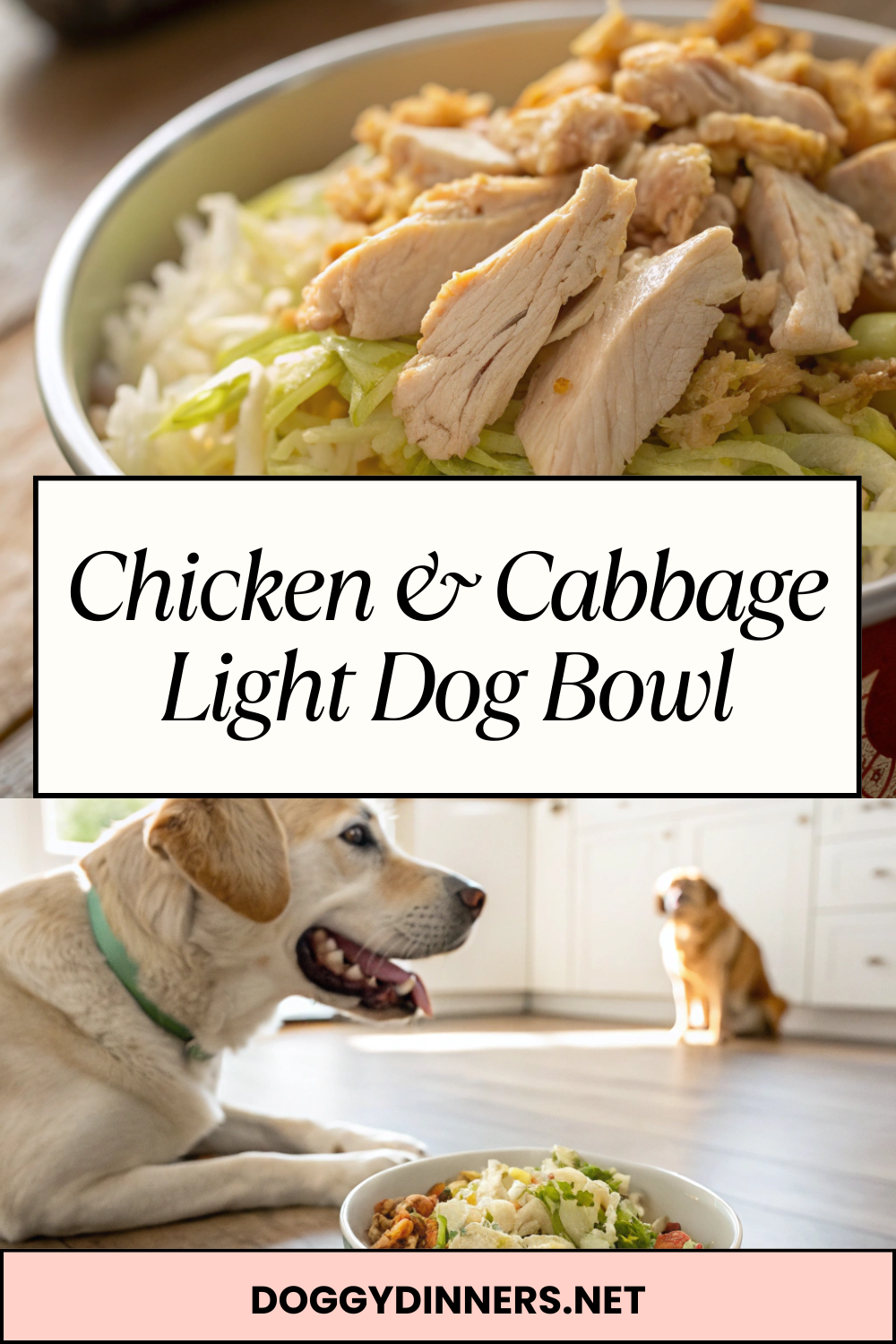 Chicken & Cabbage Light Dog Bowl – Lean, Homemade Meal Idea for Occasional Feeding