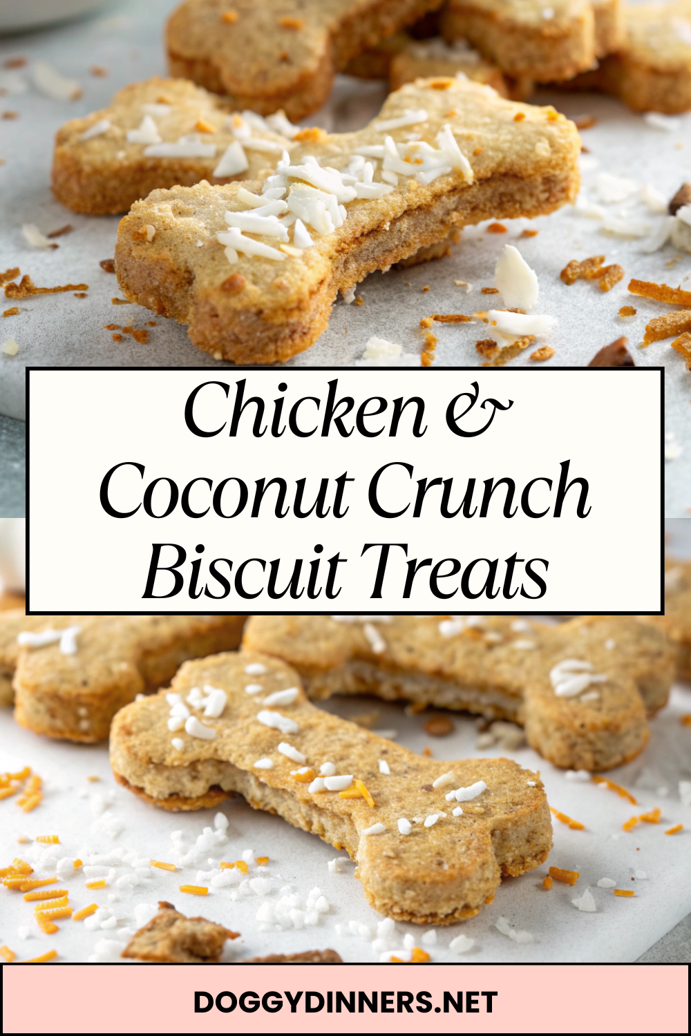 Chicken & Coconut Crunch Biscuit Treats – Crispy Oven-Baked Dog Biscuits with a Tropical Twist