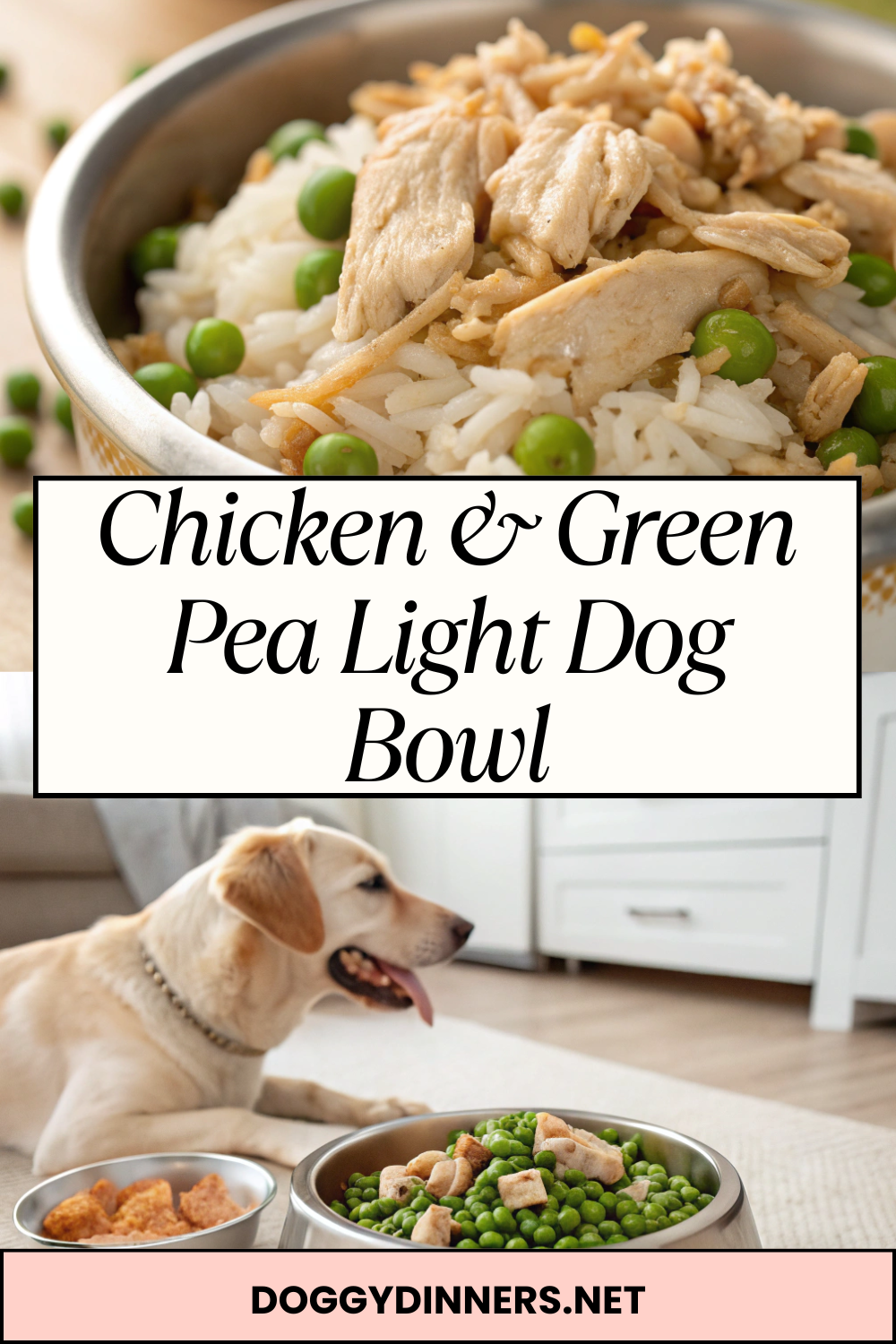 Chicken & Green Pea Light Dog Bowl – Lean, Homemade Meal with Simple Ingredients for Occasional Feeding