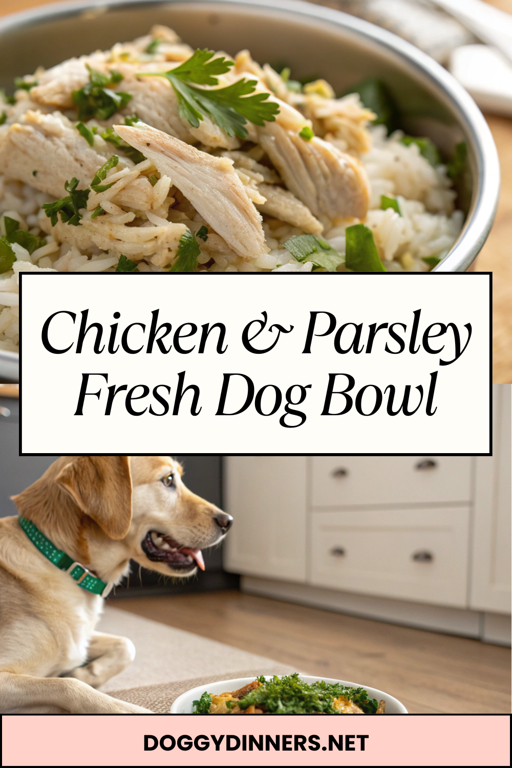 Chicken & Parsley Fresh Dog Bowl – Simple Homemade Meal with Clean Ingredients for Occasional Feeding