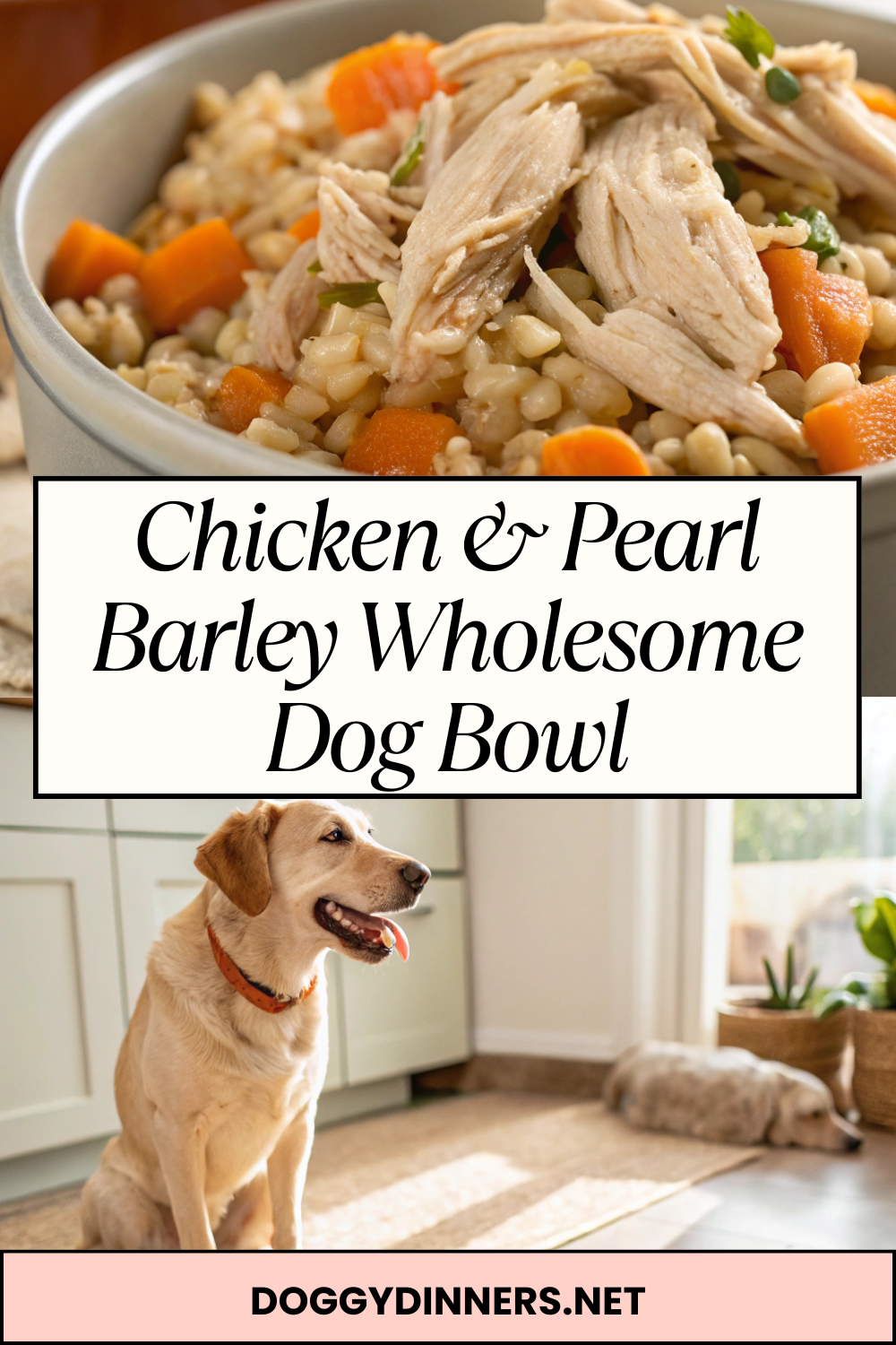 Chicken & Pearl Barley Wholesome Dog Bowl – Hearty Homemade Meal with Simple Ingredients for Occasional Feeding