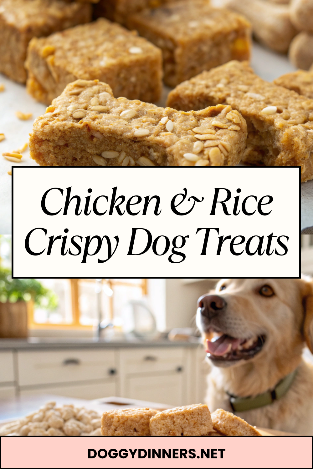 Chicken & Rice Crispy Dog Treats – Crunchy Oven-Baked Training Biscuits with Simple Ingredients