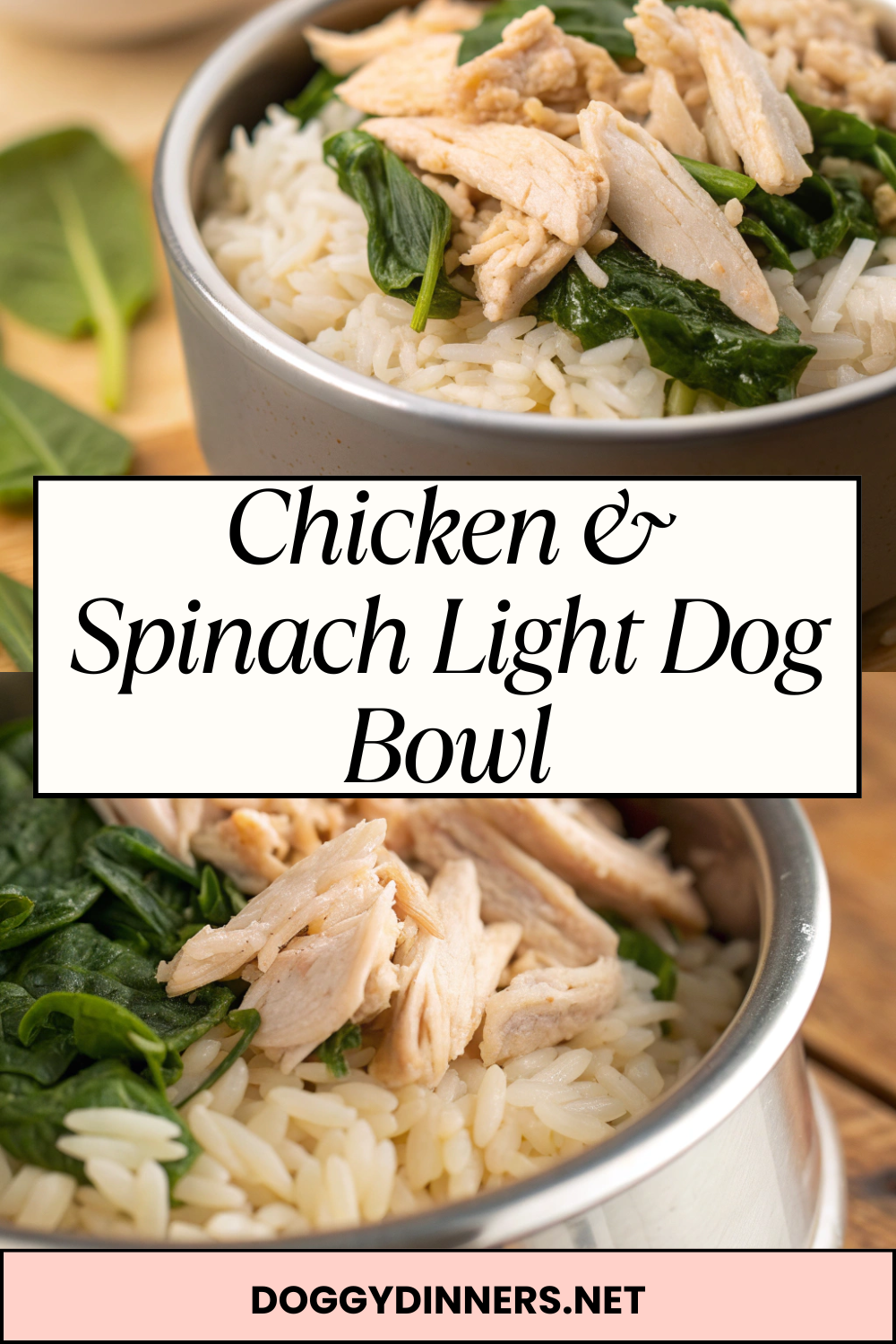 Chicken & Spinach Light Dog Bowl – Lean Homemade Meal with Simple Greens for Occasional Feeding