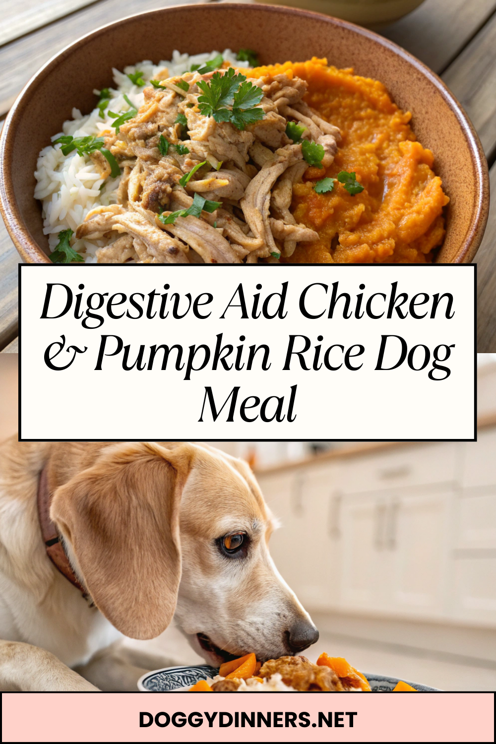 Digestive Aid Chicken & Pumpkin Rice Dog Meal