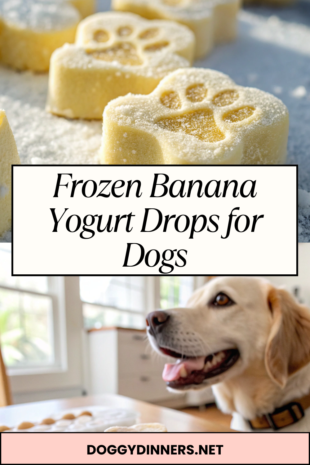 Frozen Banana Yogurt Drops for Dogs – Easy No-Bake Bite-Size Treats for Cooling & Training Rewards