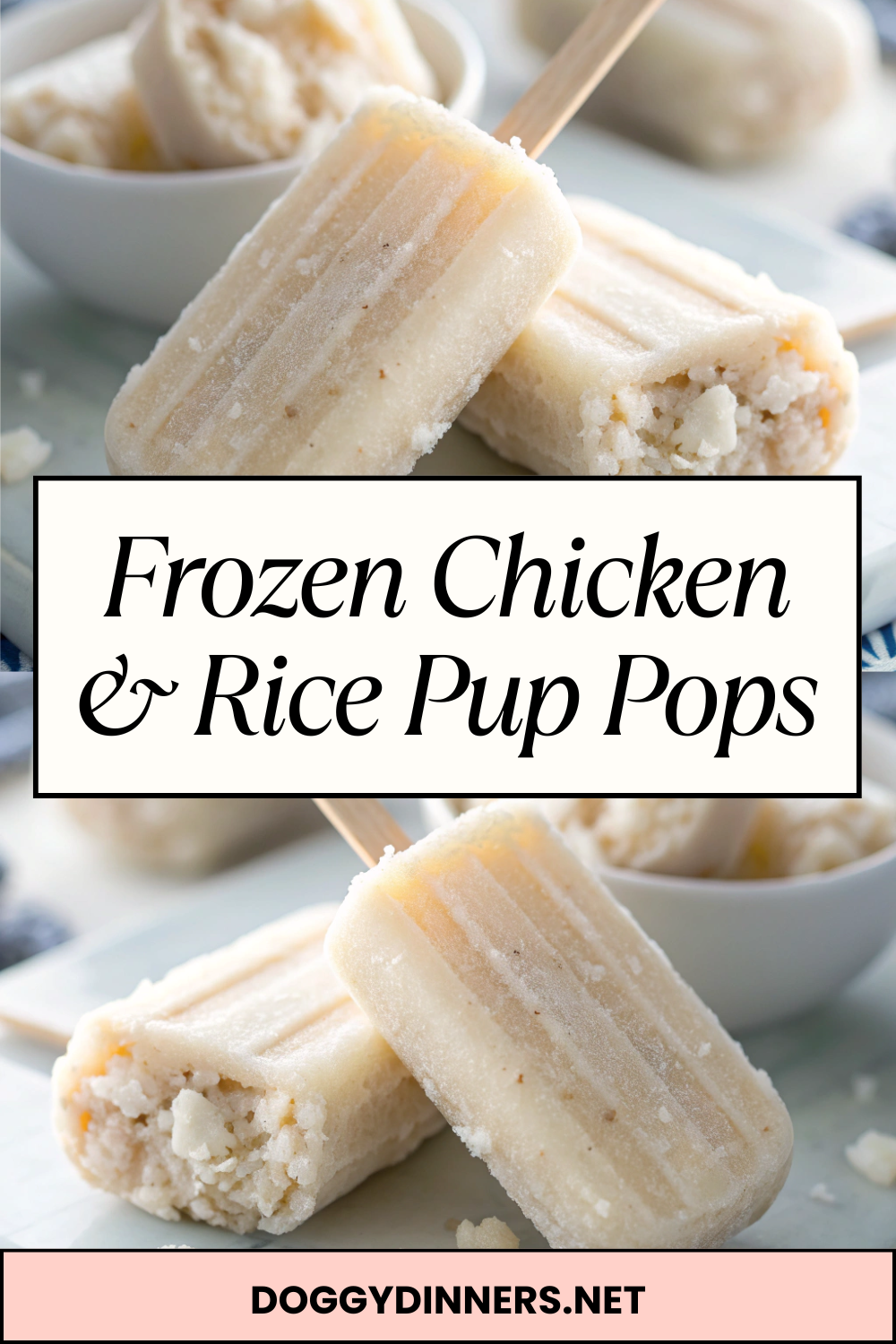 Frozen Chicken & Rice Pup Pops – Cooling Savory Ice Treats for Dogs with Simple Ingredients