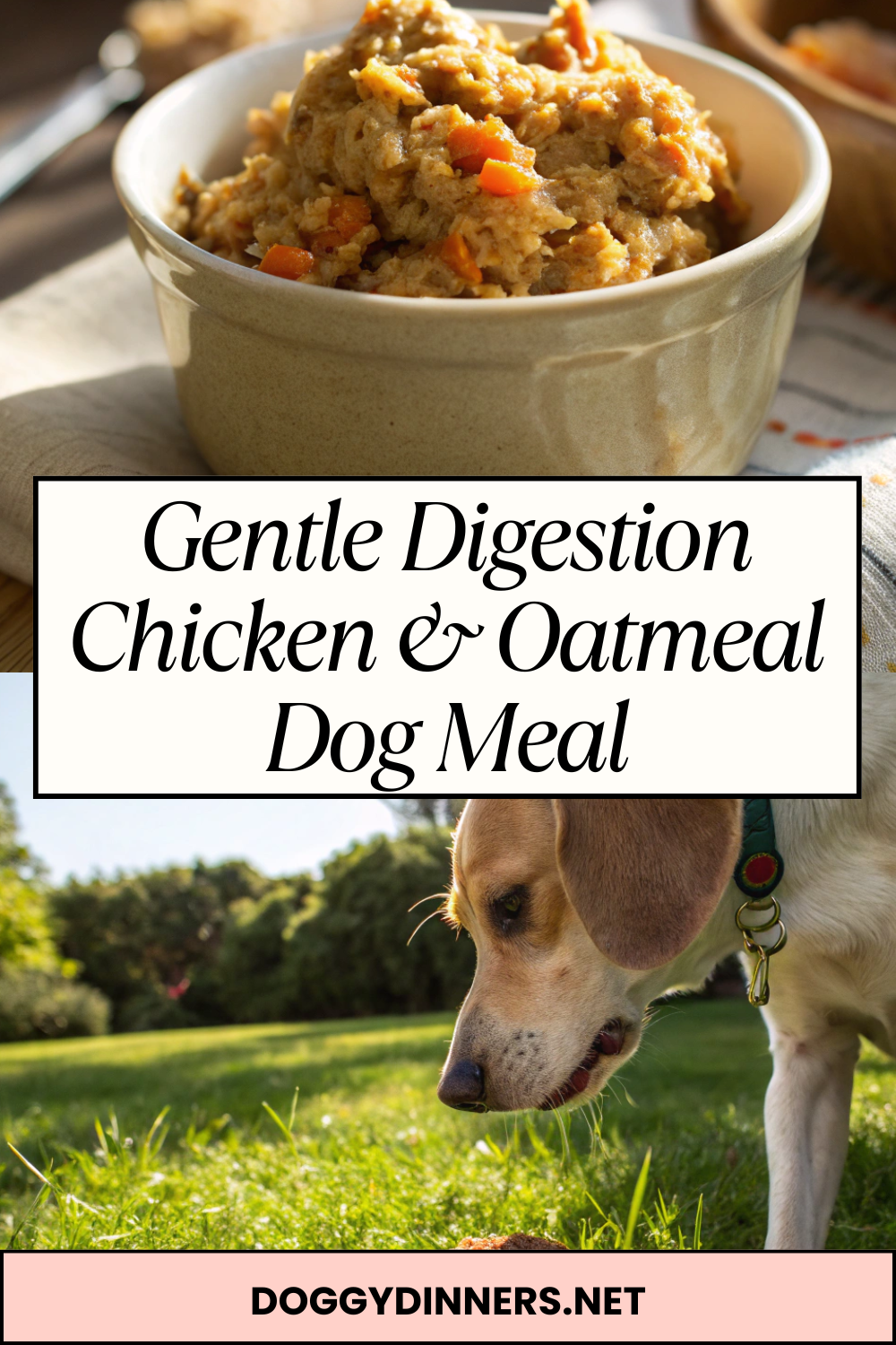 Gentle Digestion Chicken & Oatmeal Dog Meal