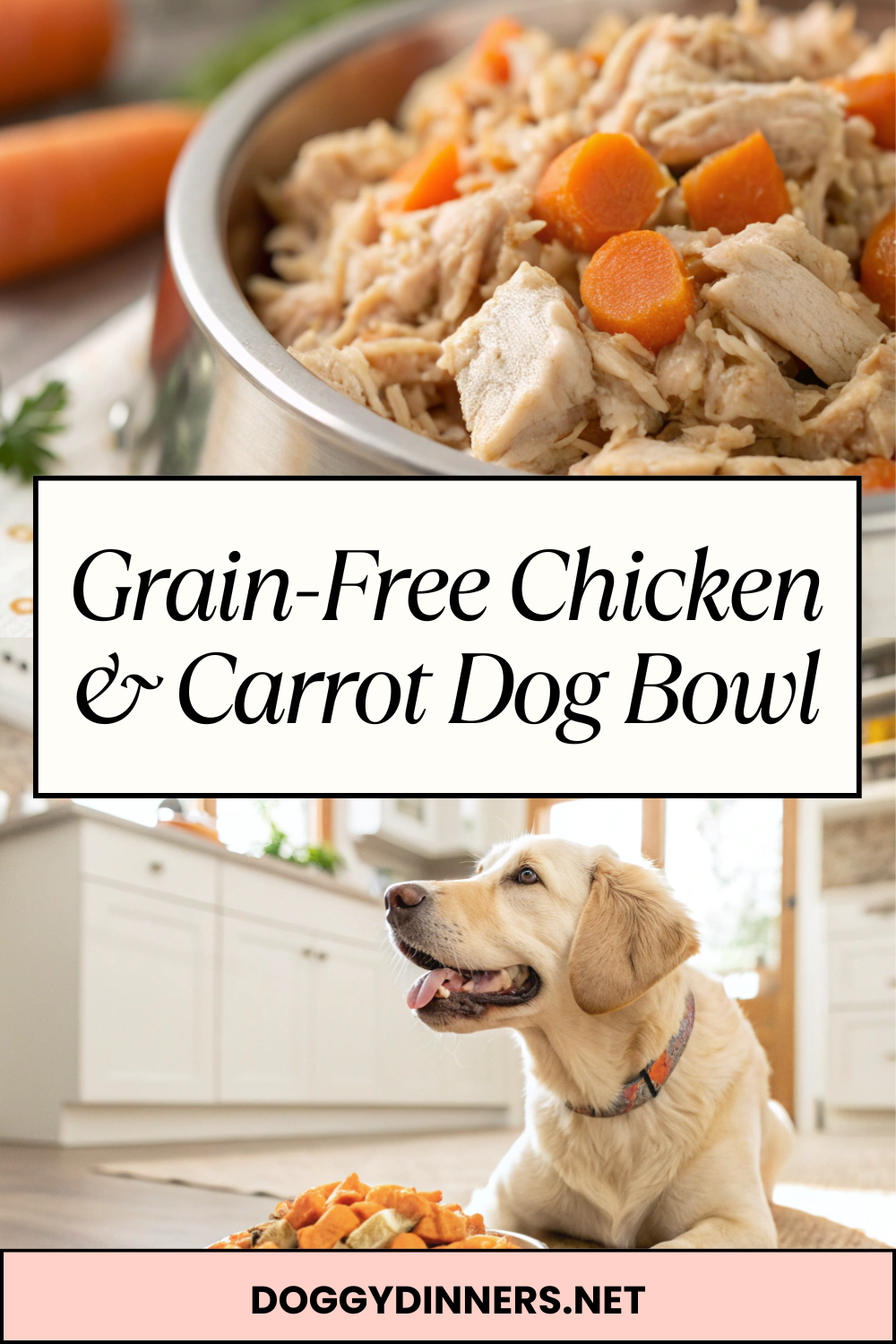 Grain-Free Chicken & Carrot Dog Bowl – Simple Homemade Meal with Lean Protein and Veggies for Occasional Feeding