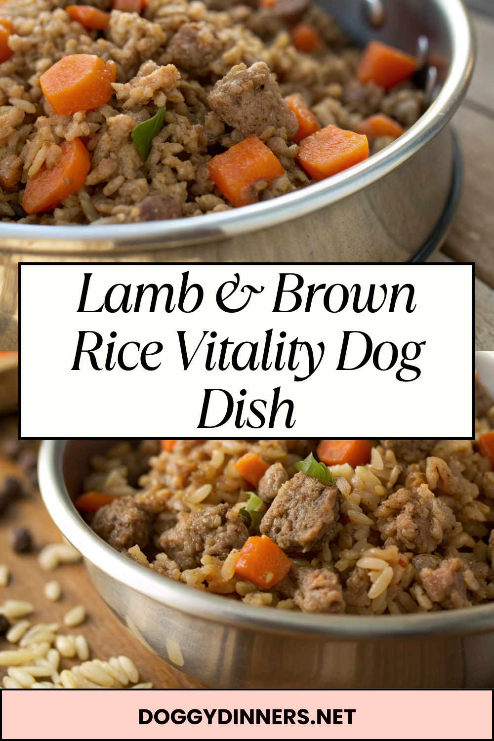 Lamb & Brown Rice Vitality Dog Dish – Hearty Homemade Meal with Wholesome Ingredients for Occasional Feeding