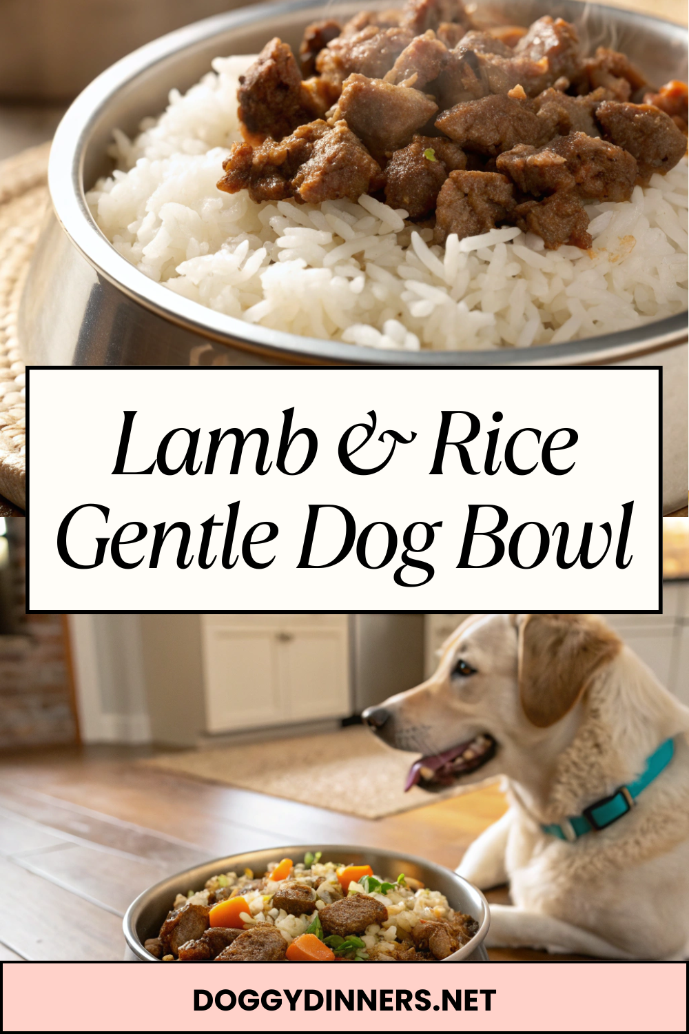 Lamb & Rice Gentle Dog Bowl – Mild, Easy-to-Serve Homemade Meal for Occasional Feeding