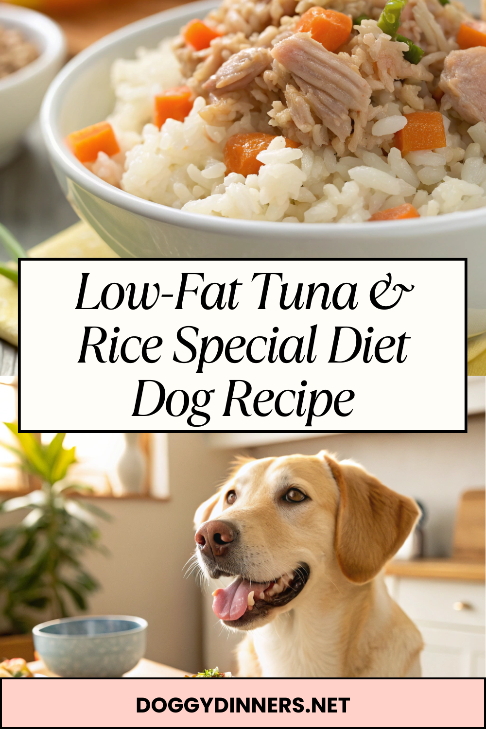 Low-Fat Tuna & Rice Special Diet Dog Recipe