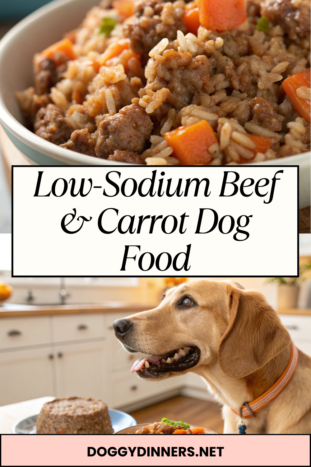 Low-Sodium Beef & Carrot Dog Food