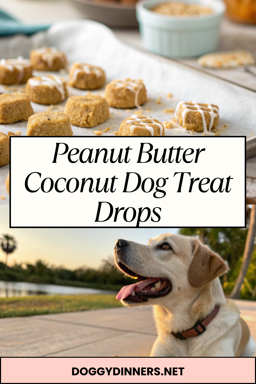Peanut Butter Coconut Dog Treat Drops