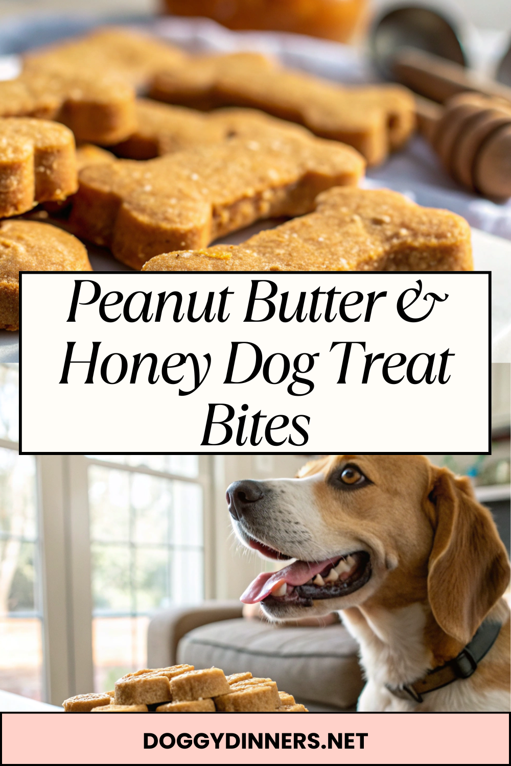 Peanut Butter & Honey Dog Treat Bites – Soft-Baked, Bite-Size Rewards with Natural Sweetness