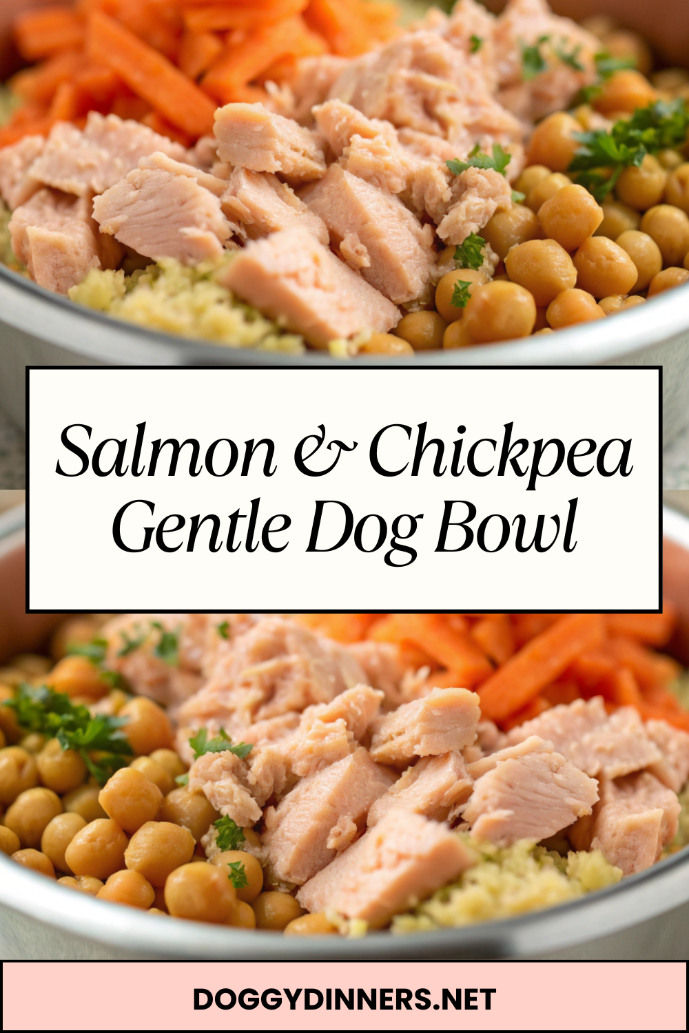 Salmon & Chickpea Gentle Dog Bowl – Simple Homemade Meal with Limited Ingredients for Occasional Feeding