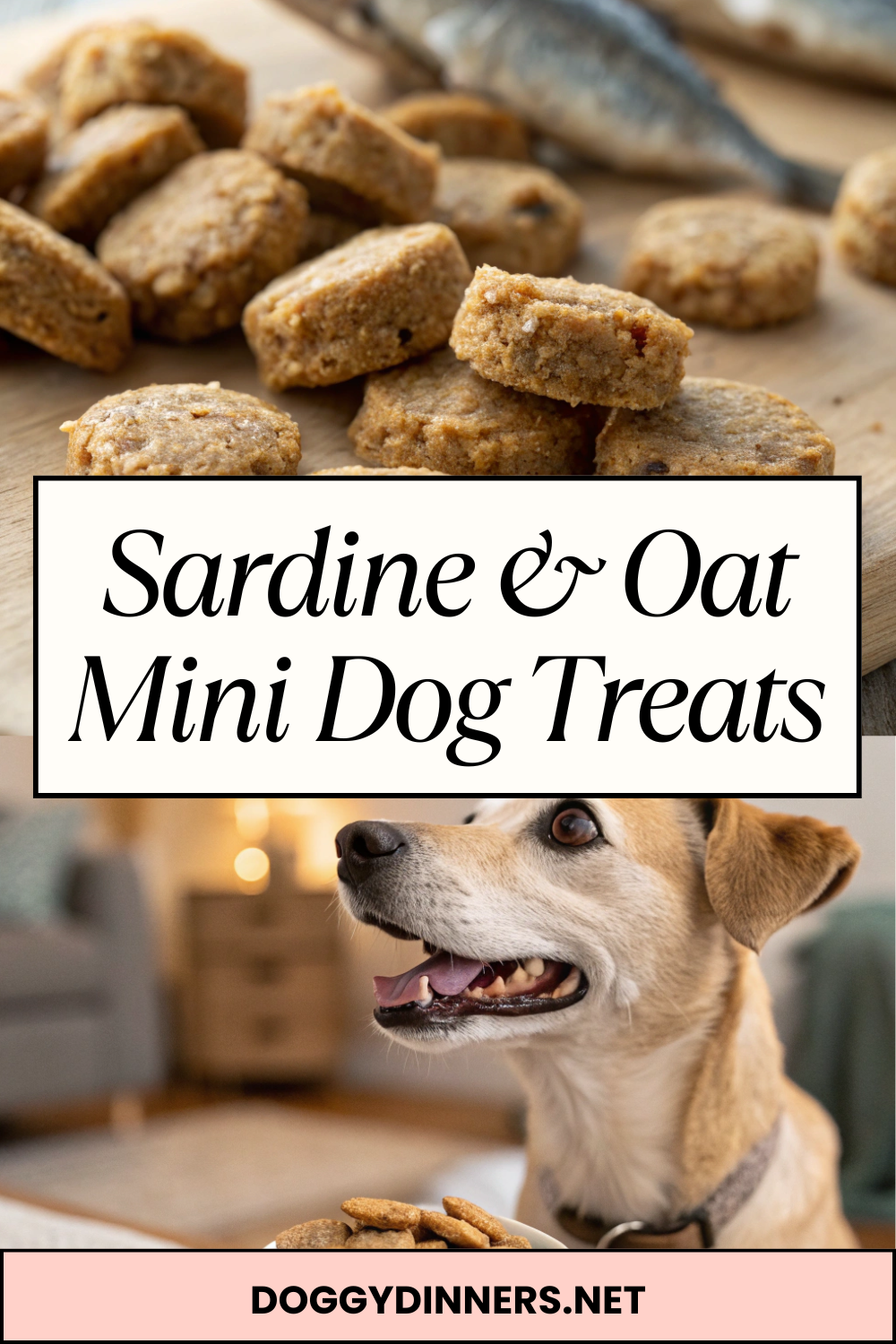 Sardine & Oat Mini Dog Treats – Crunchy, Protein-Rich Bite-Size Treats for Training & Occasional Spoiling