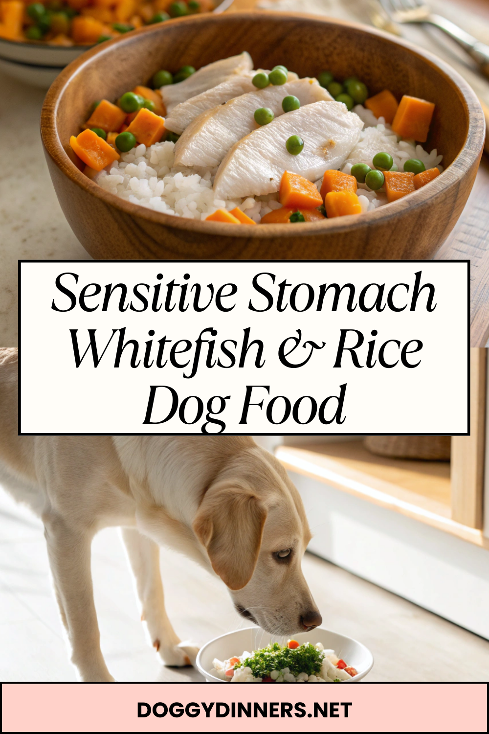 Sensitive Stomach Whitefish & Rice Dog Food