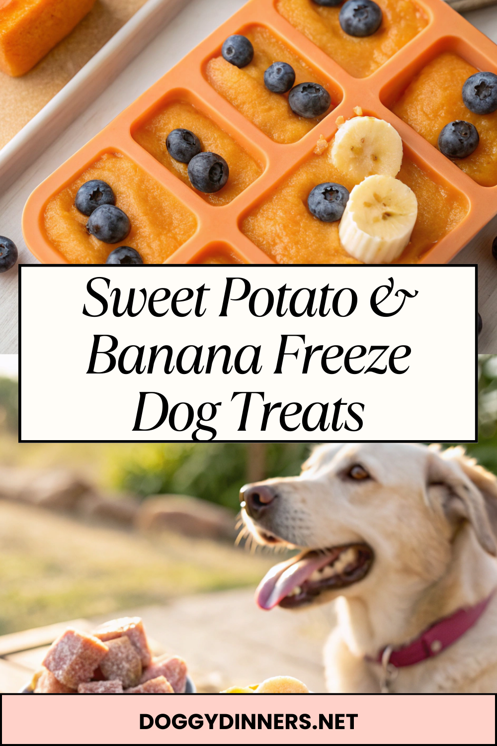 Sweet Potato & Banana Freeze Dog Treats