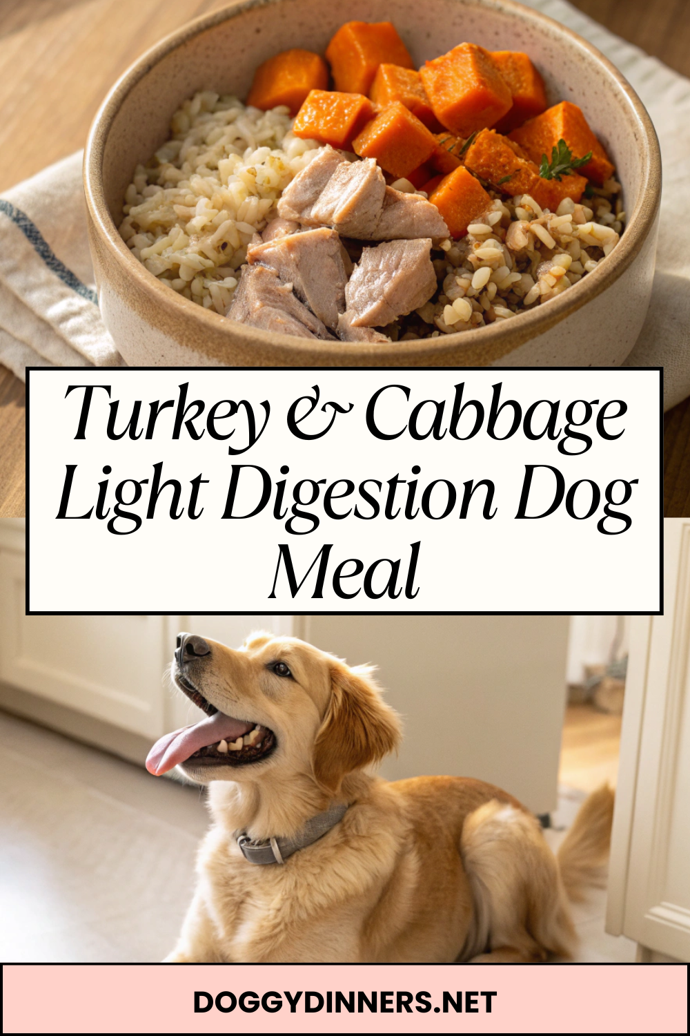 Turkey & Cabbage Light Digestion Dog Meal
